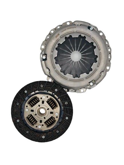 دیسک و صفحه رانا